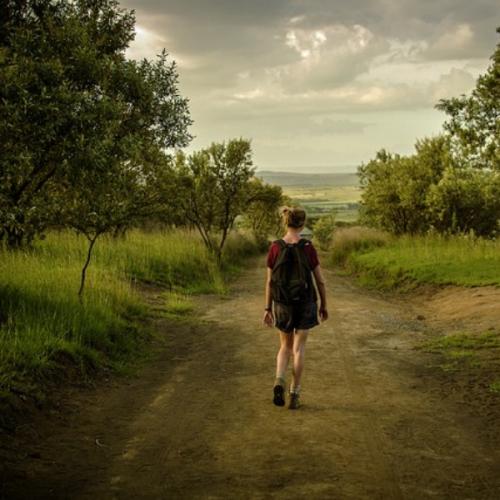 สมาชิกหมายเลข 3762153