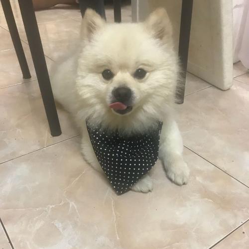 สมาชิกหมายเลข 4486049