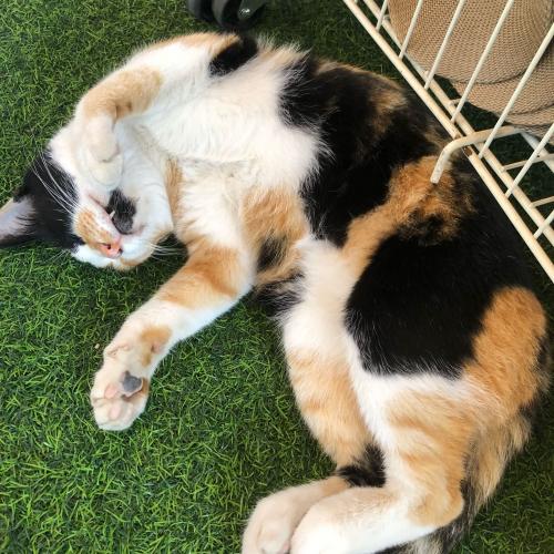 สมาชิกหมายเลข 4504972