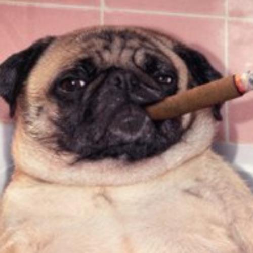 สมาชิกหมายเลข 2630996