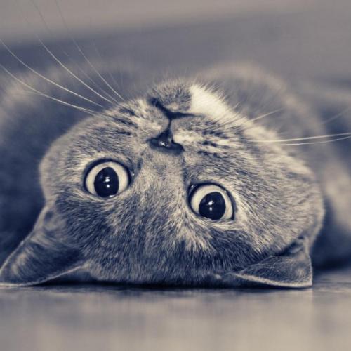 สมาชิกหมายเลข 3148646