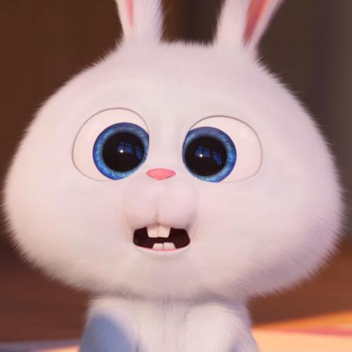 สมาชิกหมายเลข 5615035