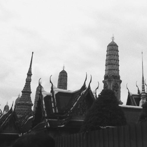 สมาชิกหมายเลข 5615674