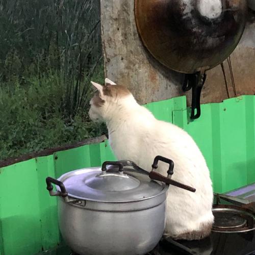 สมาชิกหมายเลข 1161269