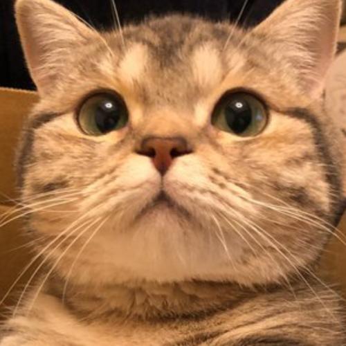 สมาชิกหมายเลข 4669929