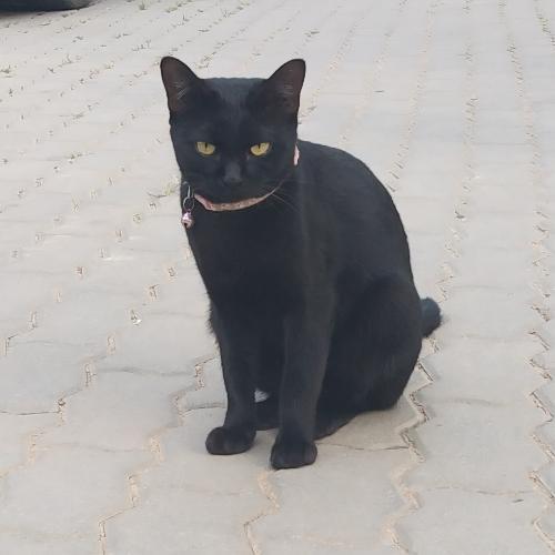 สมาชิกหมายเลข 5031374