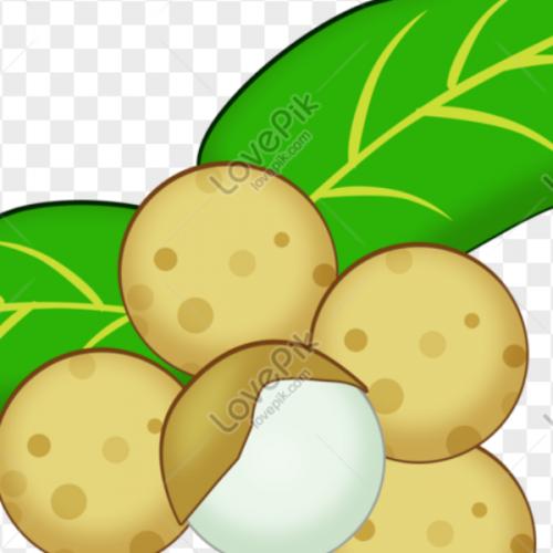 สมาชิกหมายเลข 6822096