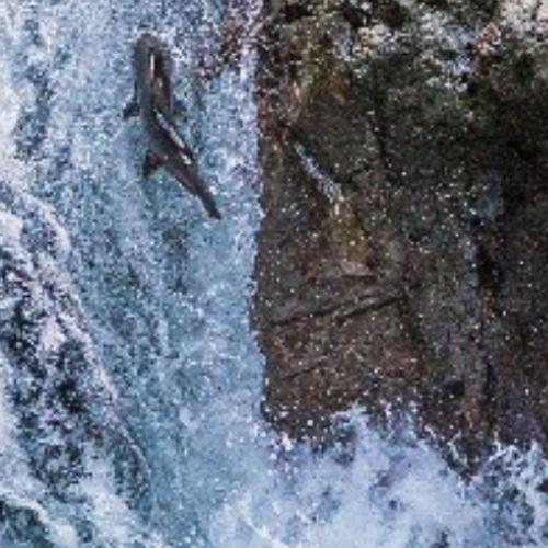 สมาชิกหมายเลข 7591551