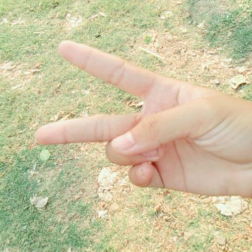 สมาชิกหมายเลข 4485333