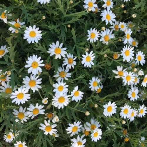 สมาชิกหมายเลข 2773135