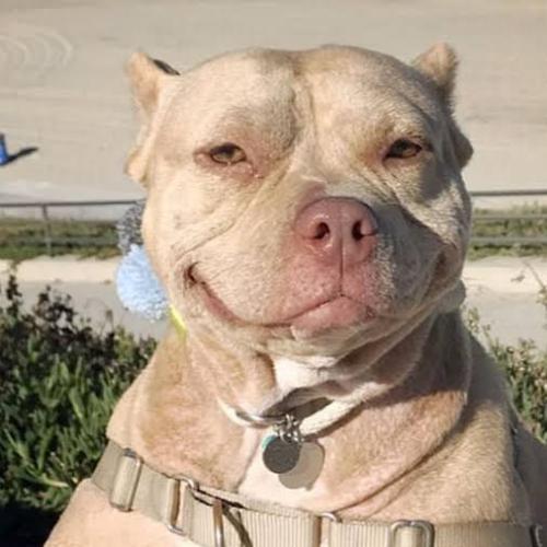 สมาชิกหมายเลข 4818768