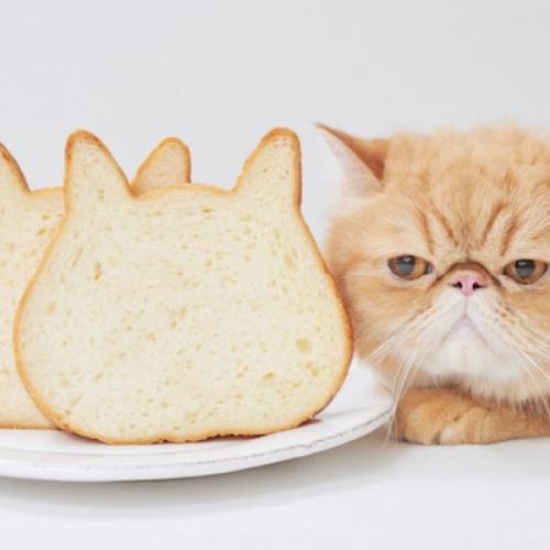 สมาชิกหมายเลข 3408298