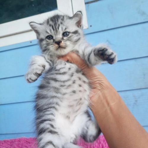 สมาชิกหมายเลข 7591963