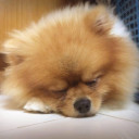 สมาชิกหมายเลข 3379179