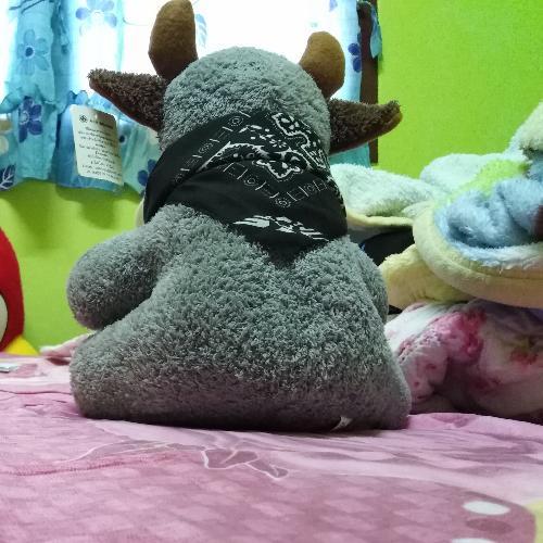 สมาชิกหมายเลข 5202769