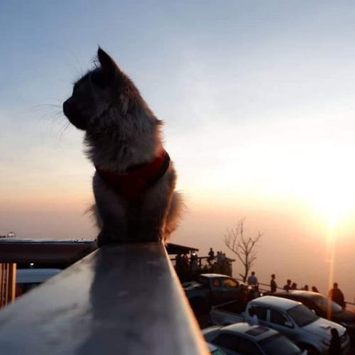 สมาชิกหมายเลข 5203009