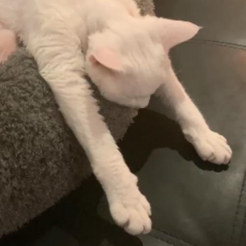 ไว้จะเล่าให้ฟัง