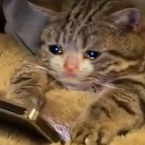 สมาชิกหมายเลข 5616680