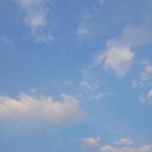 สมาชิกหมายเลข 2135638