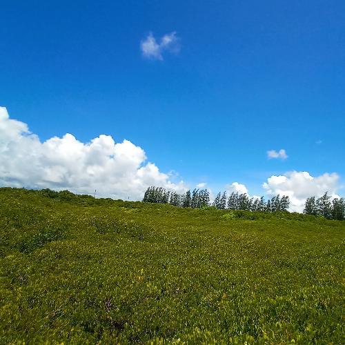 สมาชิกหมายเลข 3536661