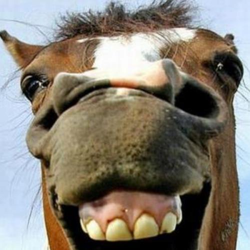 สมาชิกหมายเลข 5713990