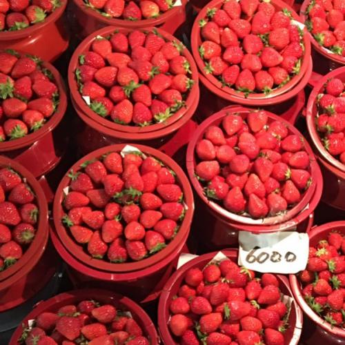 EXOจ๋ามากินข้าวกัน