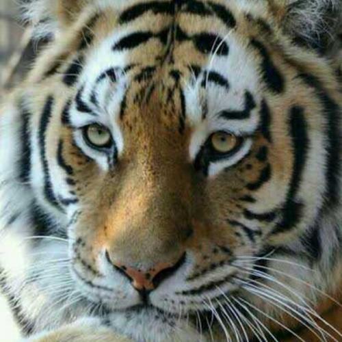 สมาชิกหมายเลข 3922683