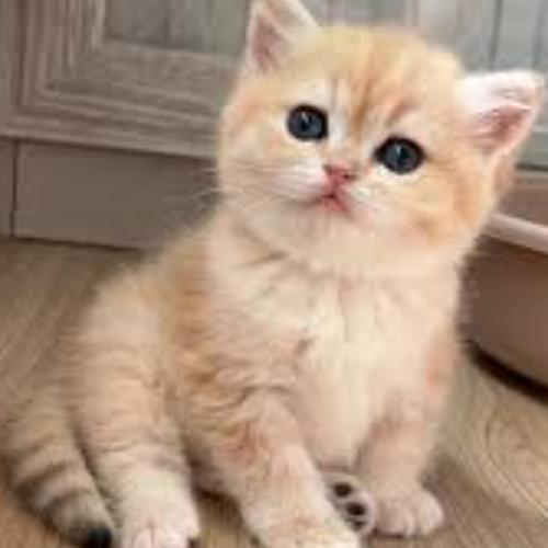 สมาชิกหมายเลข 2284943