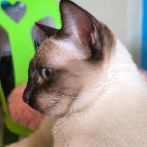 สมาชิกหมายเลข 4565654