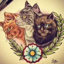 สมาชิกหมายเลข 3050594