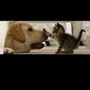 สมาชิกหมายเลข 3684749