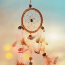 สมาชิกหมายเลข 4024255