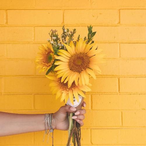 สมาชิกหมายเลข 3108917