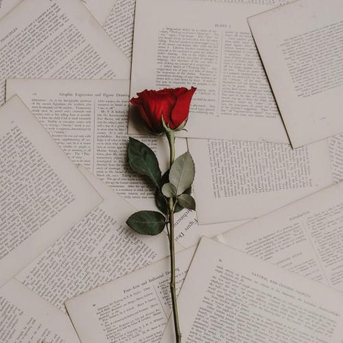 สมาชิกหมายเลข 4319825