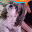 สมาชิกหมายเลข 4487252