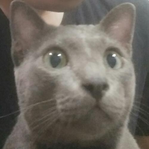 สมาชิกหมายเลข 1630107