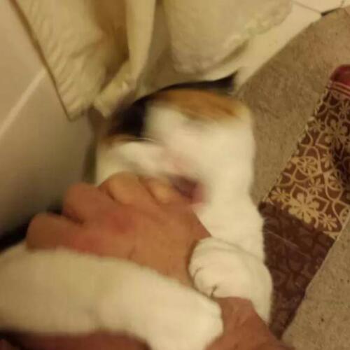 สมาชิกหมายเลข 4819464