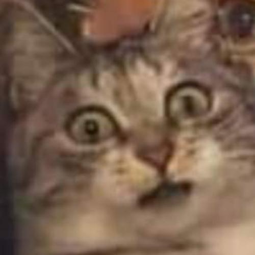 สมาชิกหมายเลข 4825354