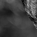 สมาชิกหมายเลข 5204013