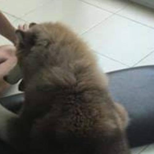 สมาชิกหมายเลข 4267958