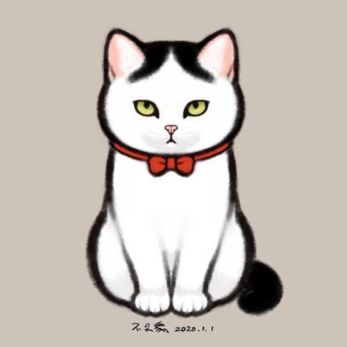 สมาชิกหมายเลข 4246562