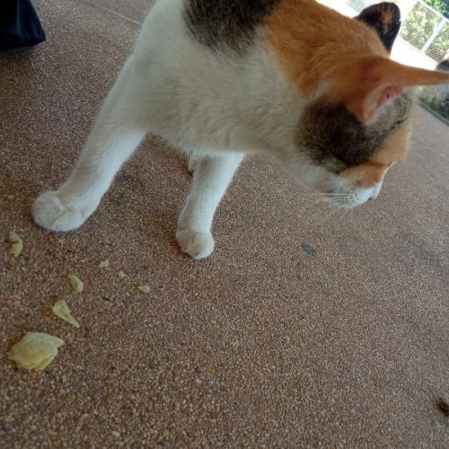 สมาชิกหมายเลข 5674593