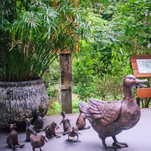 สมาชิกหมายเลข 6185018