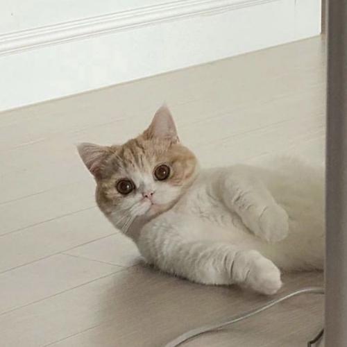 สมาชิกหมายเลข 6824483