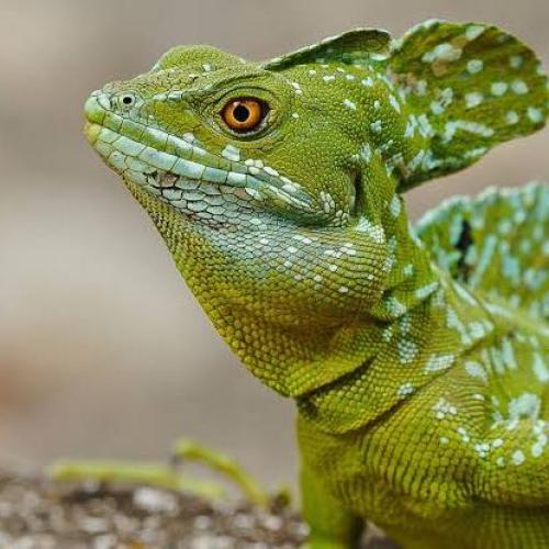 สมาชิกหมายเลข 6824868