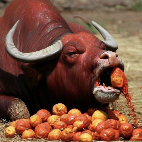 สมาชิกหมายเลข 6528882