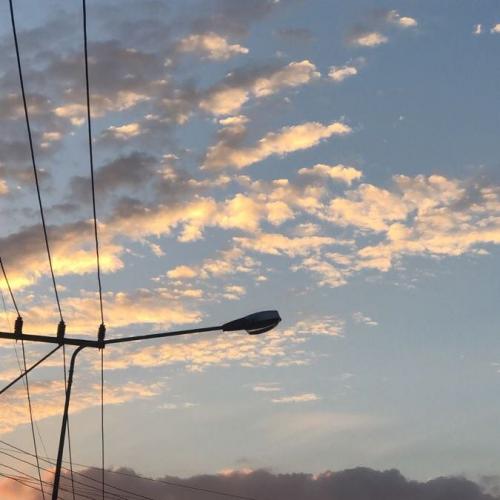 สมาชิกหมายเลข 7588532