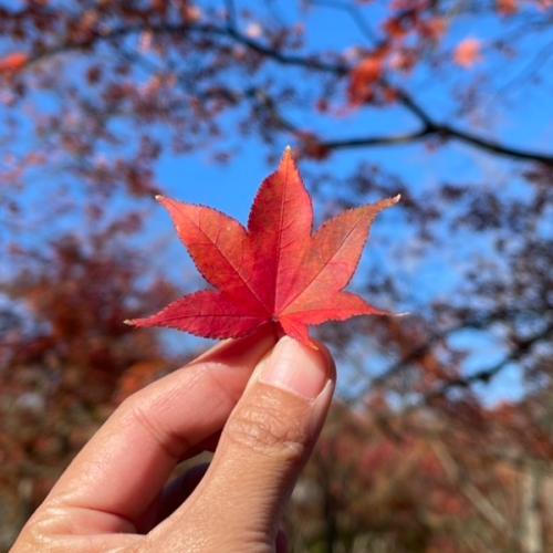 สมาชิกหมายเลข 1045179