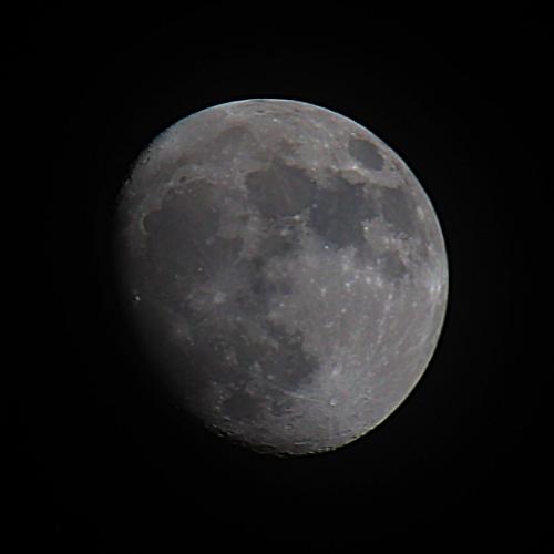 สมาชิกหมายเลข 1310535