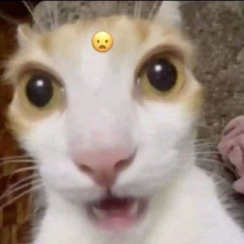 สมาชิกหมายเลข 8519909